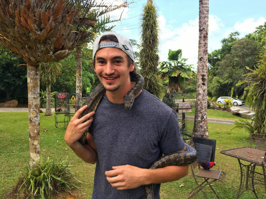 Python australie