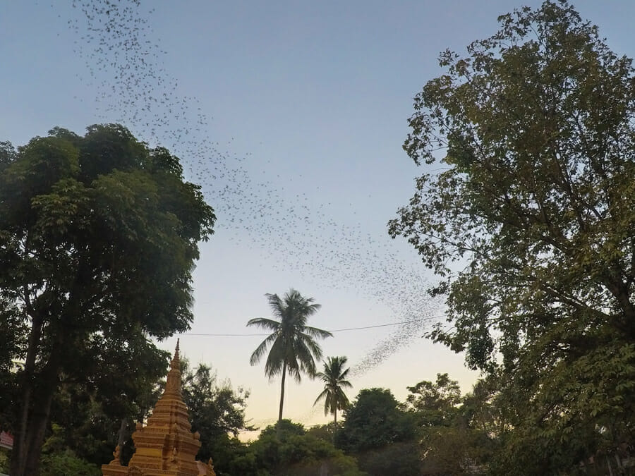 itineraire cambodge battambang
