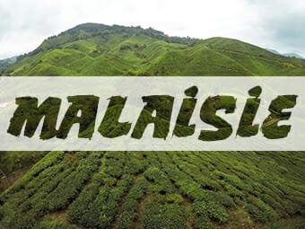 Blog Voyage Voyage Malaisie