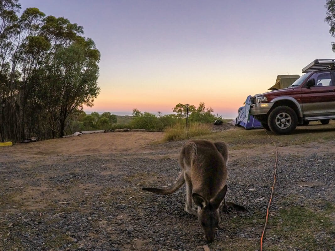 Helpx australie camping