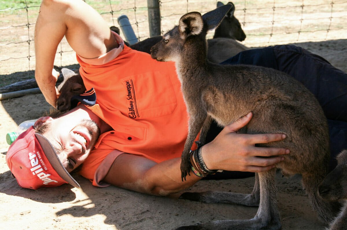 helpx-australie-joie