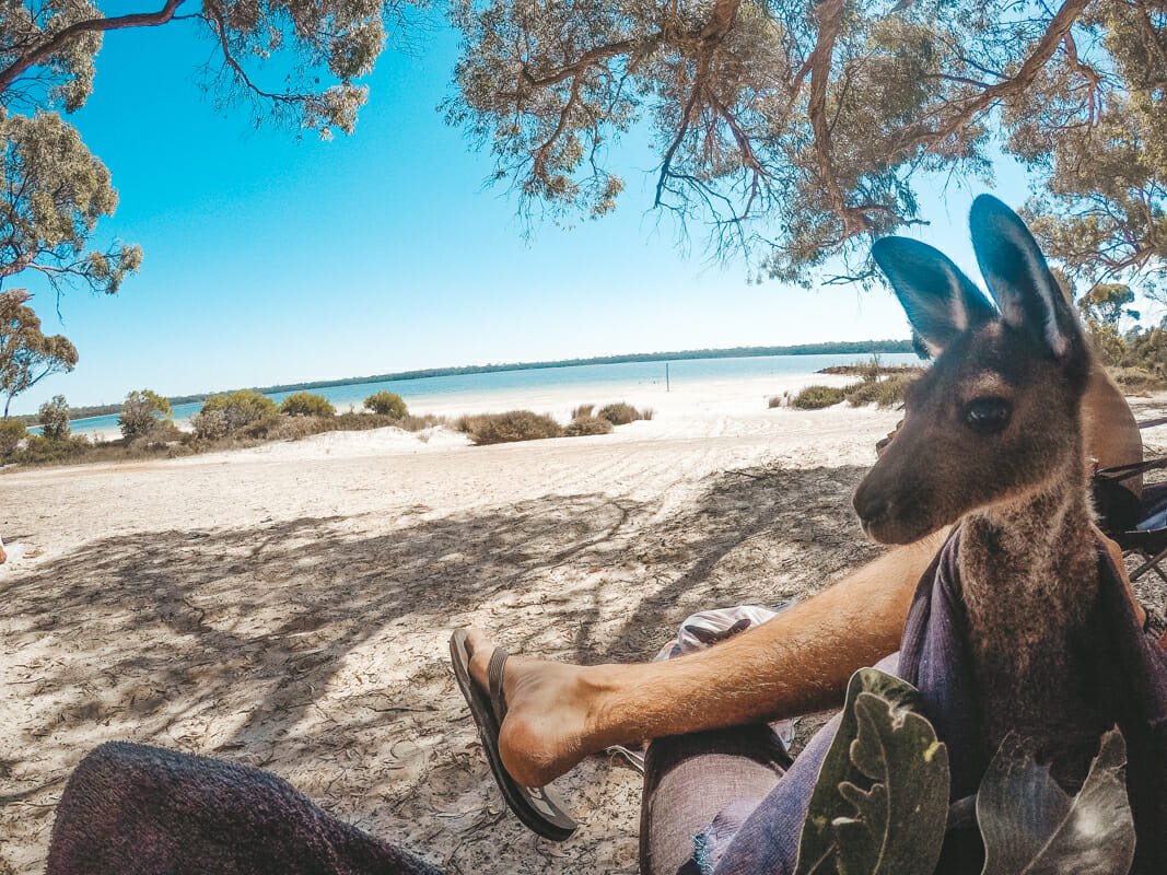 helpx australie sortie lac