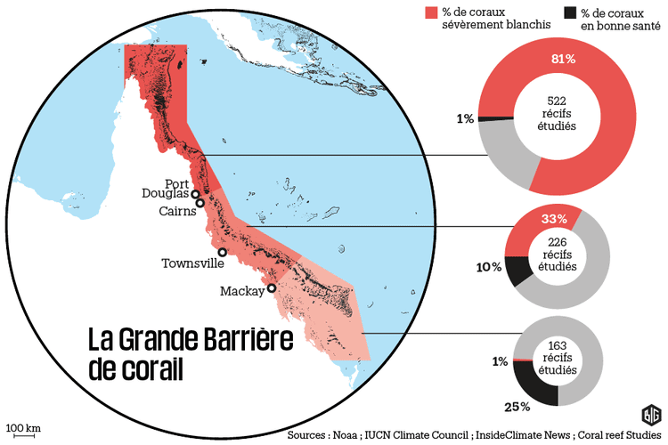 grande barriere de corail australie grande barriere de corail australie