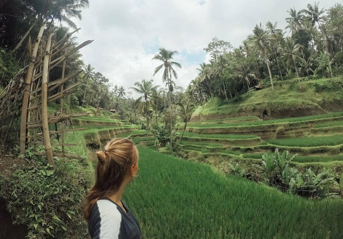 voyage-indonesie-tegalagang-bali voyage-indonesie-tegalagang-bali