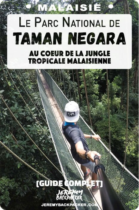 blog-taman-negara-malaisie-voyage blog-taman-negara-malaisie-voyage