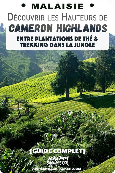 cameron highlands malaisie blog cameron highlands malaisie blog