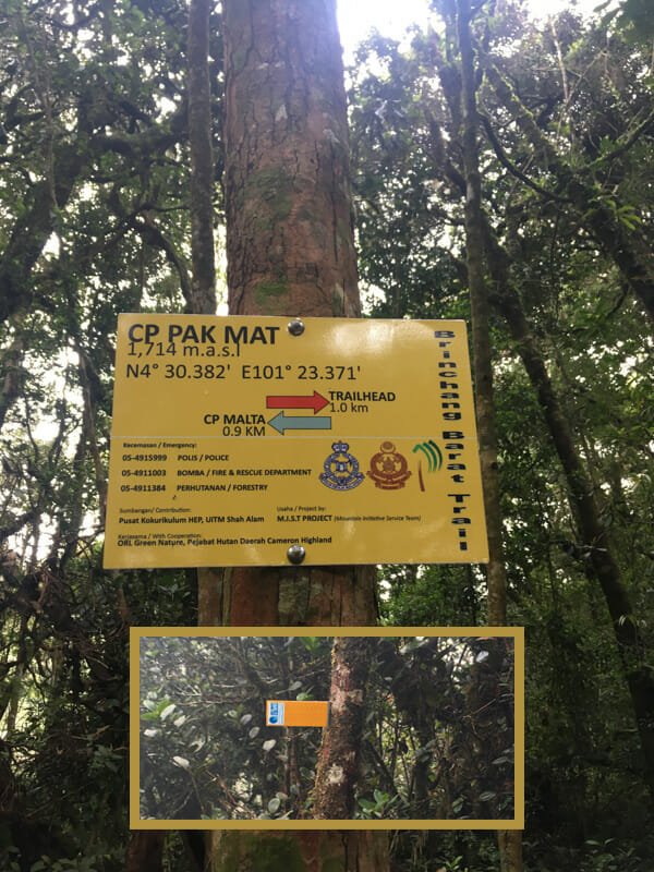 cameron-highlands-trek-brinchang