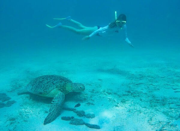 ile perhentian malaisie plongee tortue ile perhentian malaisie plongee tortue