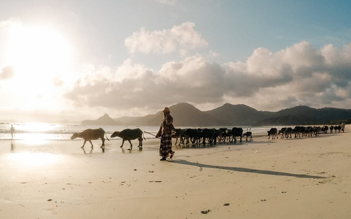 Selong Belanak - île de Lombok Selong Belanak - île de Lombok