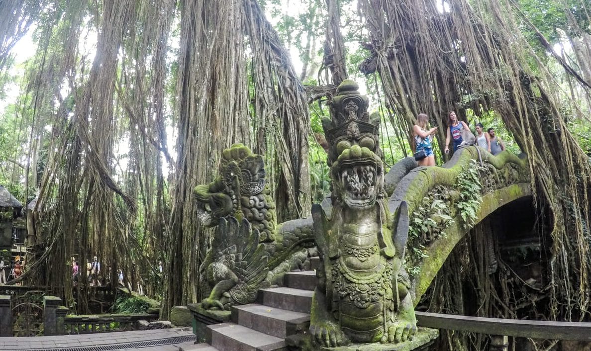 que faire à ubud bali