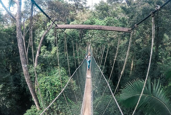 que faire en malaisie taman negara que faire en malaisie taman negara