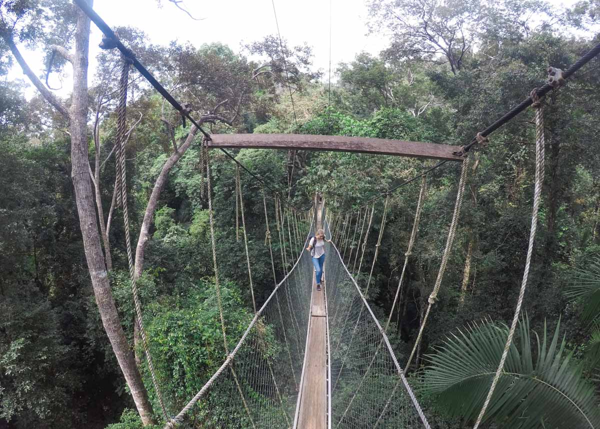 taman negara malaisie blog voyage taman negara malaisie blog voyage