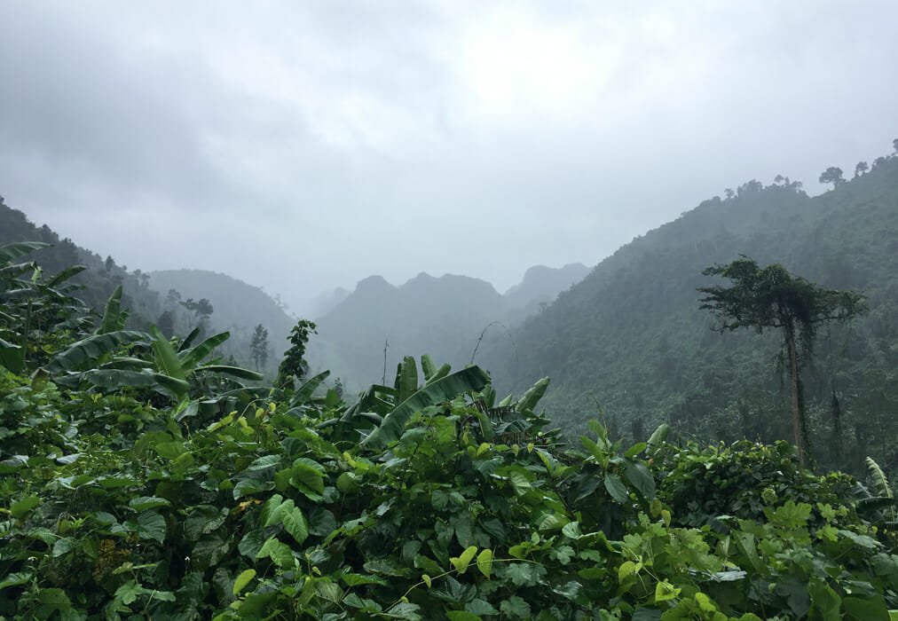 grotte phong nha montagnes