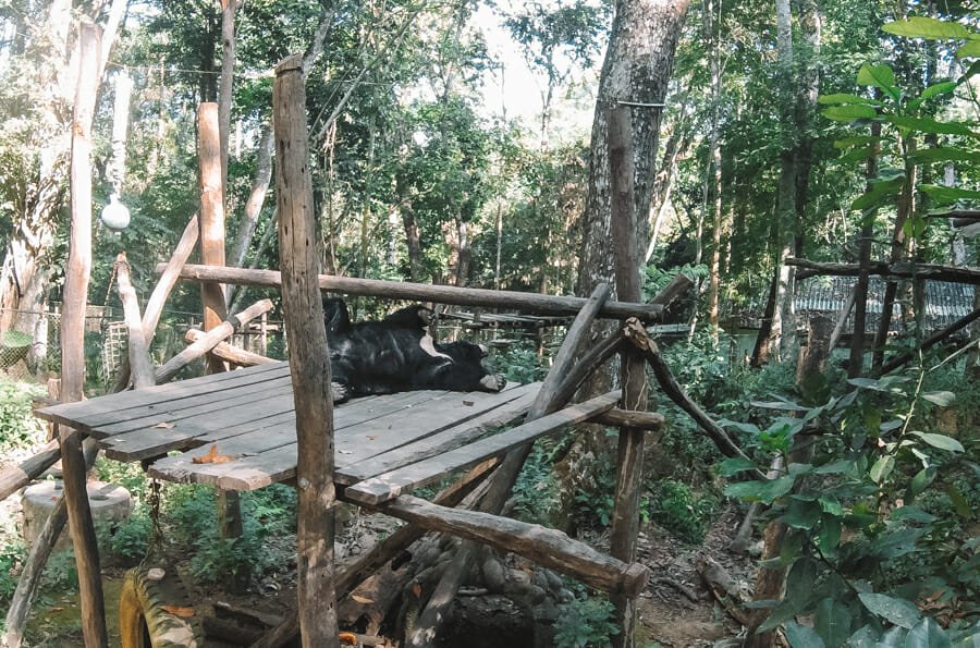 visiter Luang Prabang kuang si falls