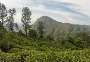 quand partir au sri lanka ella rock