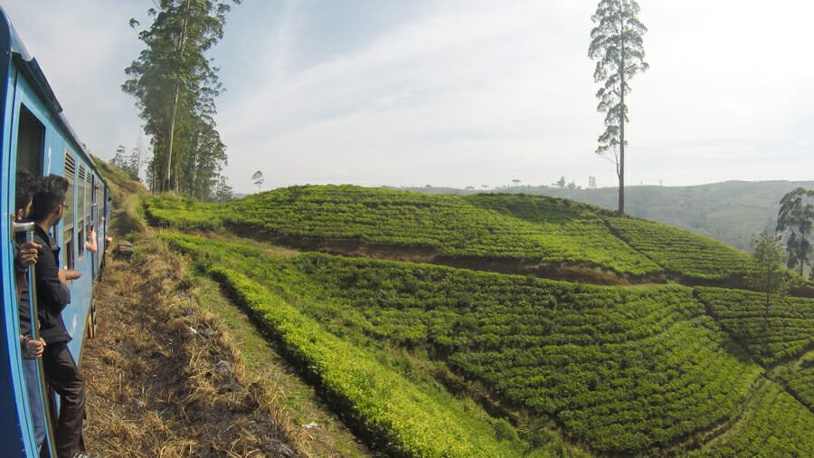 itineraire sri lanka que faire train kandy ella