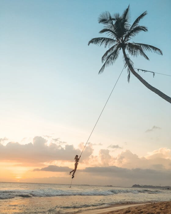 que faire au sri lanka mirissa que faire au sri lanka mirissa palmtree swing