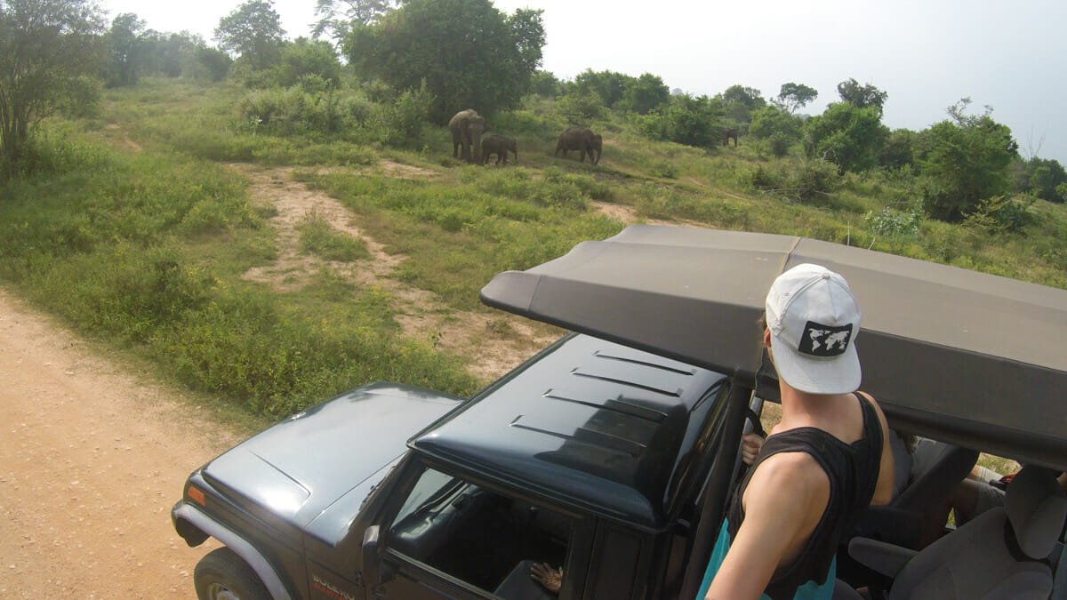 visiter parc national udawalawe