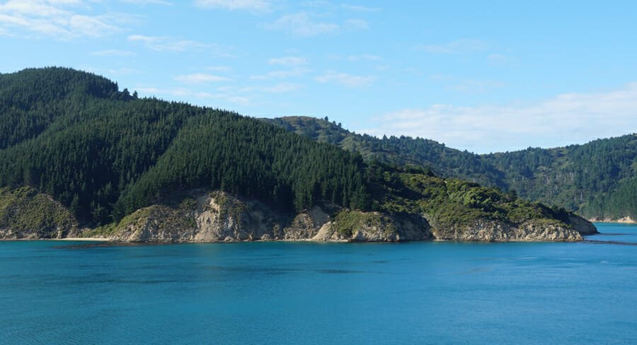 traversée ferry wellington picton