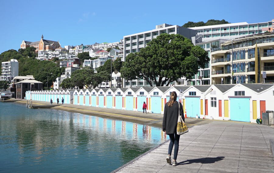 roadtrip nouvelle zelande wellington