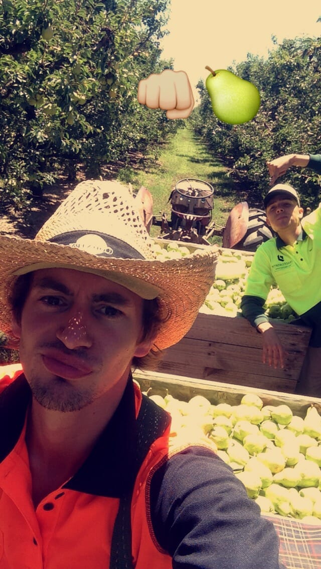 Ftruitpicking travail australie Ftruitpicking travail australie