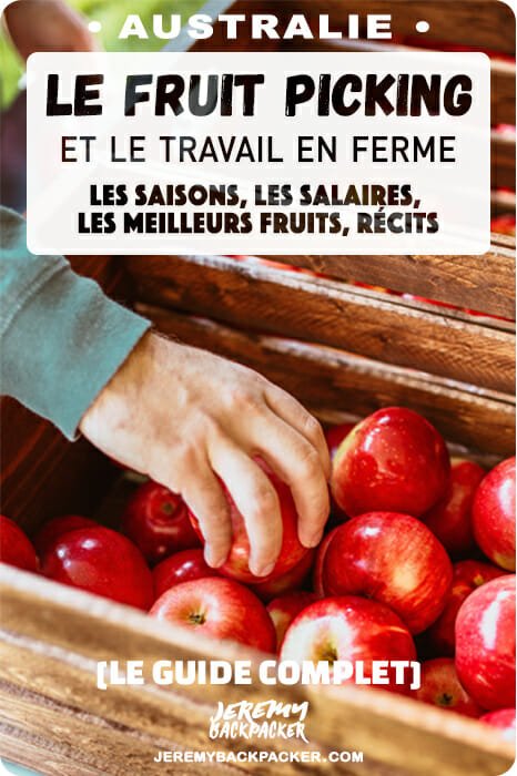 fruit-picking-australie-saison-ferme fruit-picking-australie-saison-ferme