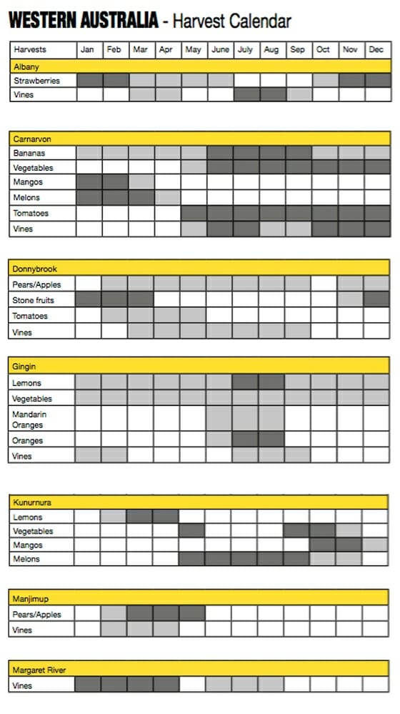 fruit picking calendrier western australia fruit picking calendrier western australia