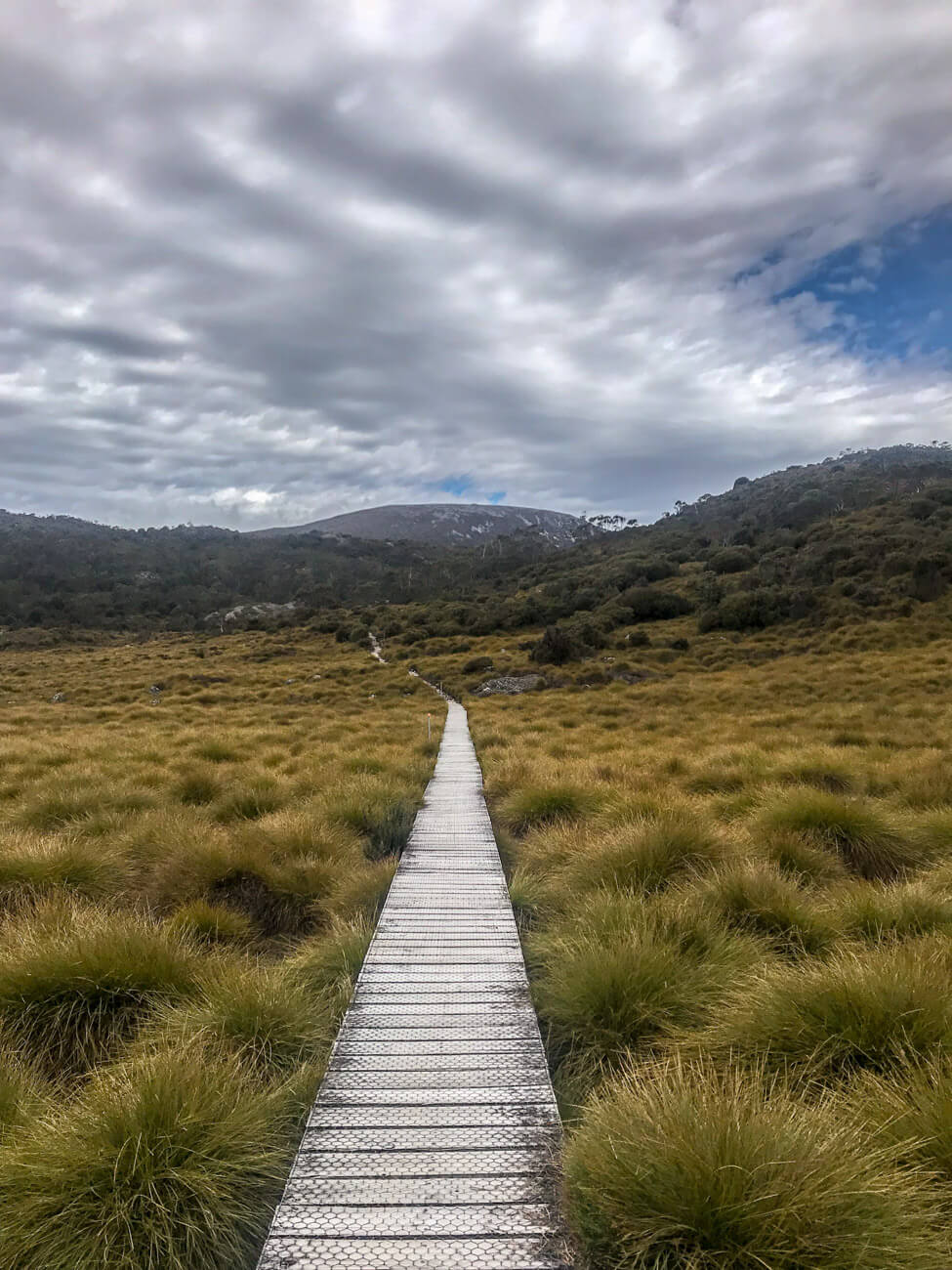 parc national cradle mountain tasmanie
