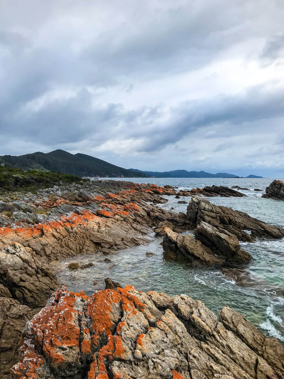 tasmanie australie ouest ile