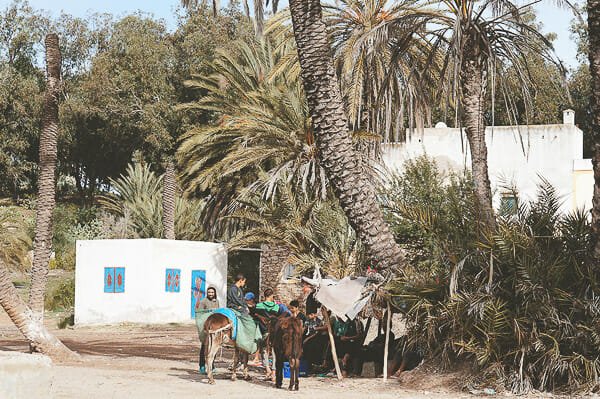 que faire essaouira oasis ain lahjar
