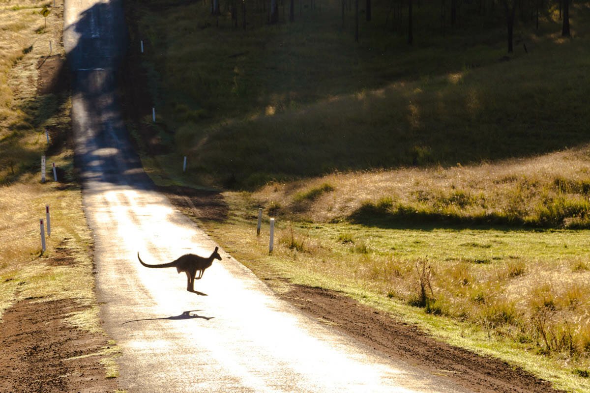pvt australie blog voyage