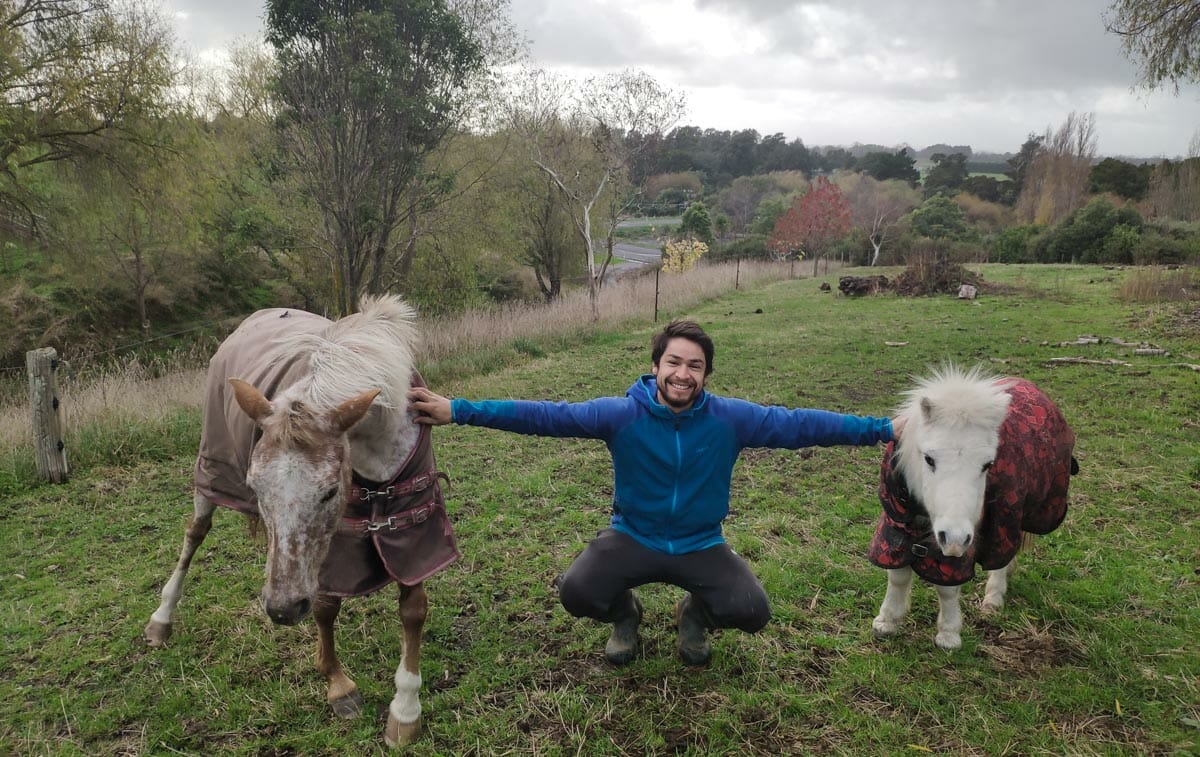 woofing nouvelle zelande voyageurs