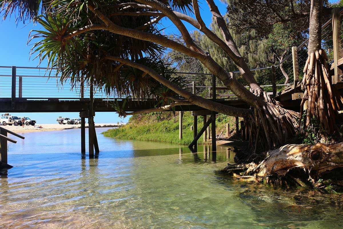 eli creek fraser island australie eli creek fraser island australie