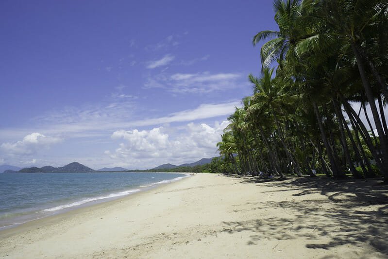 palm cove beach cairns australie