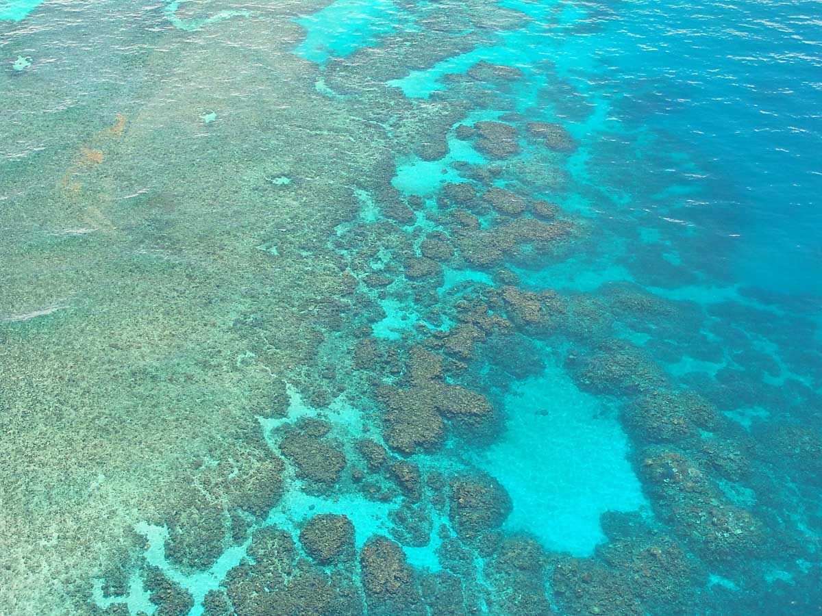 survol grande barriere de corail cairns australie