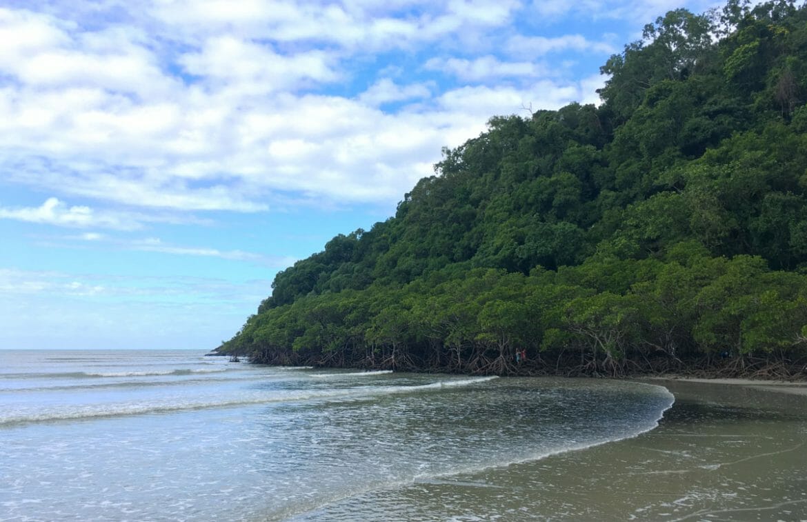 visiter cairns australie region queensland