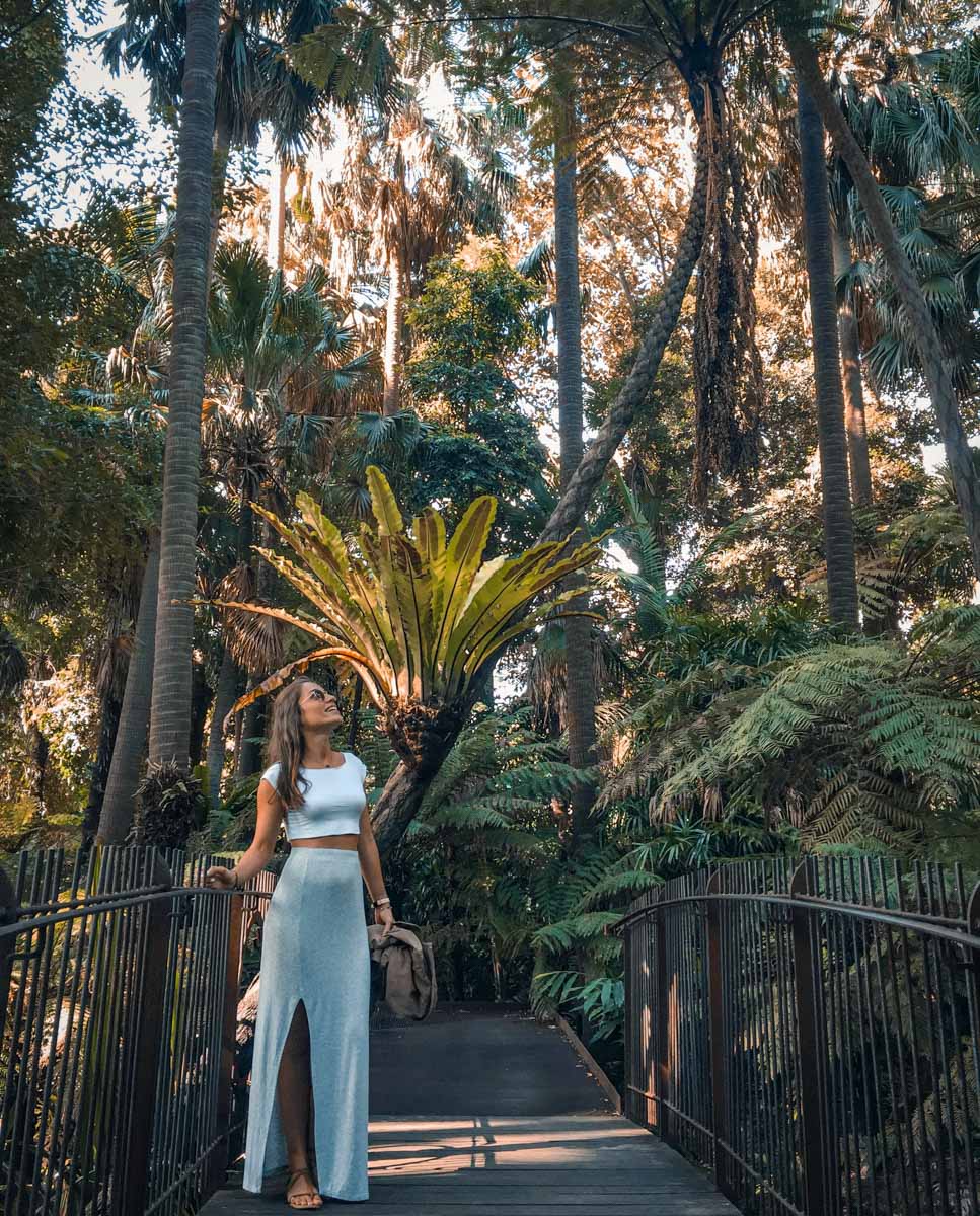 jardin botanique melbourne fern gully