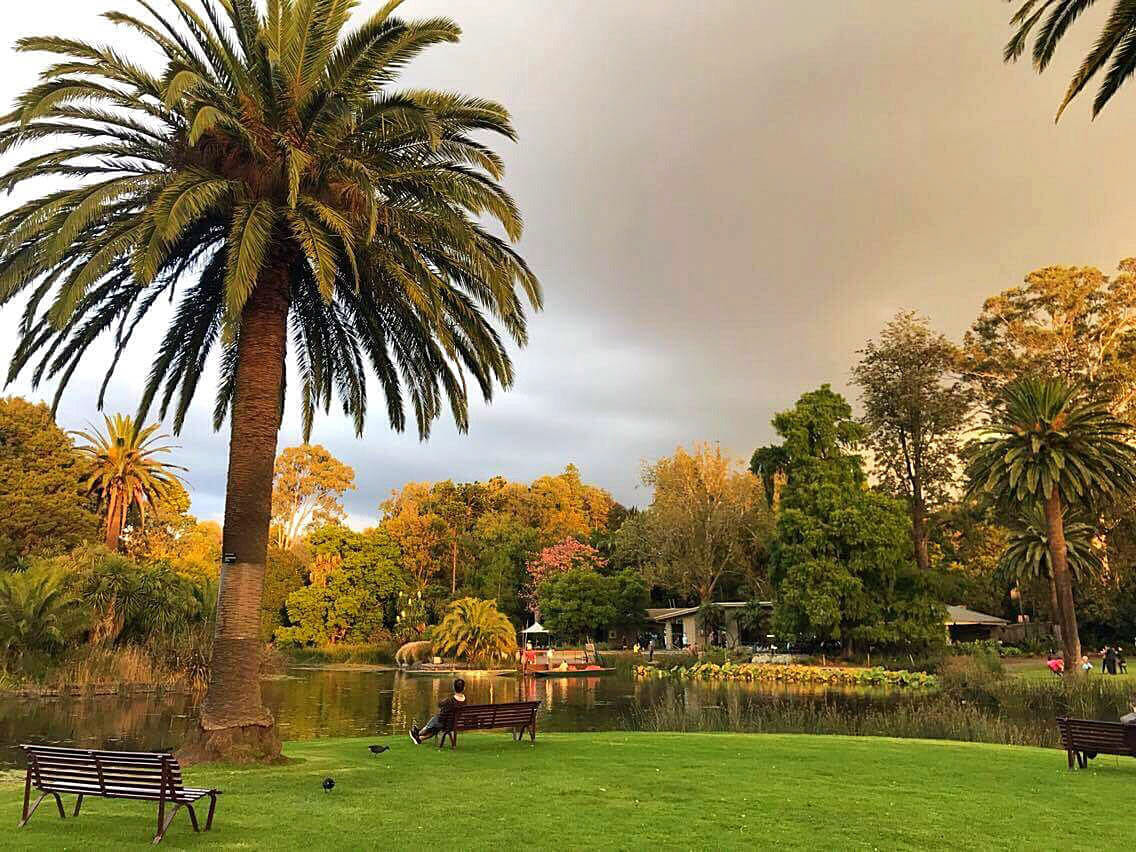 que faire a melbourne jardin botanique royal