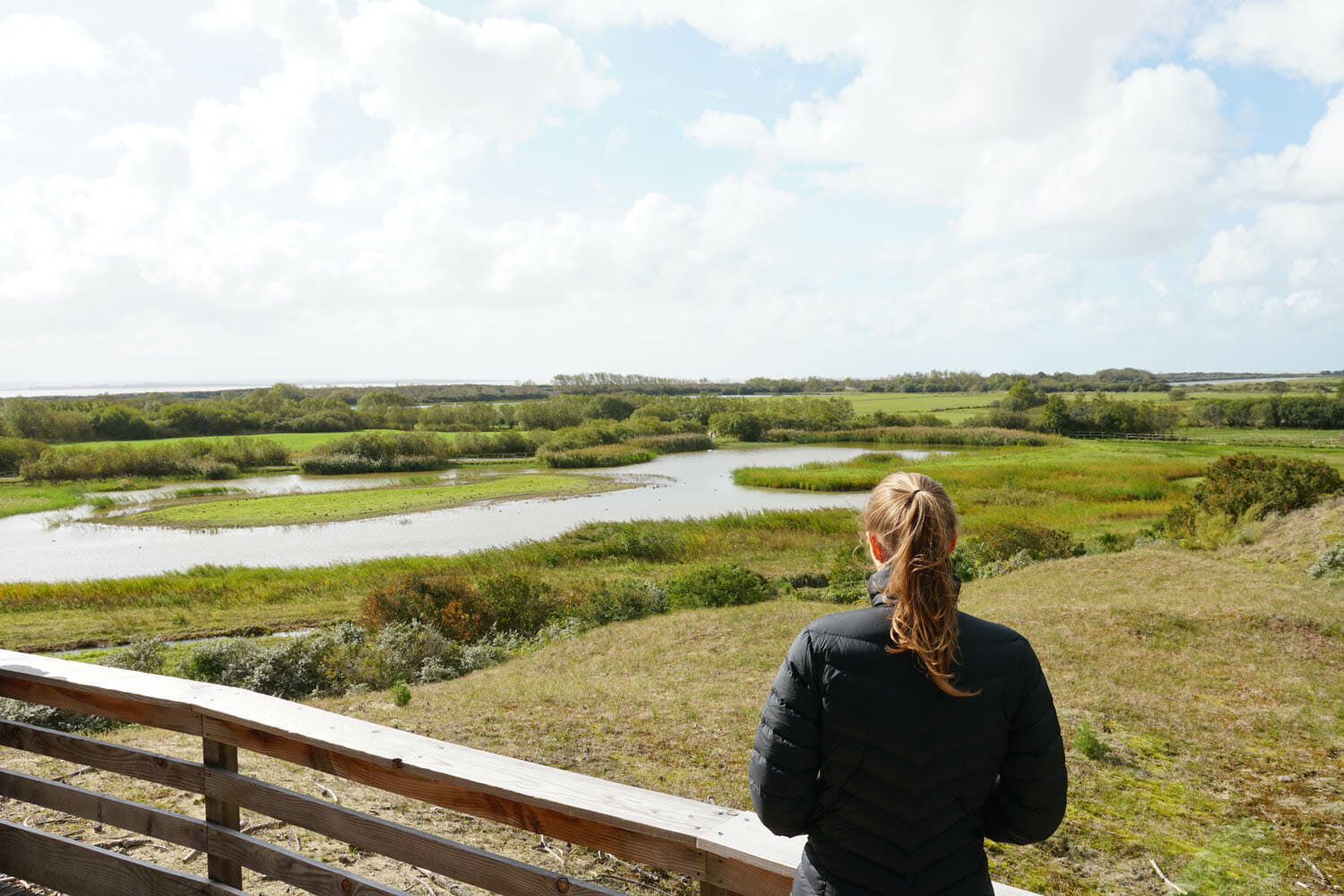 parc marquenterre baie de somme