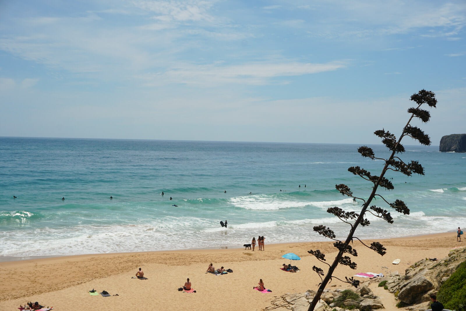 Sagres plage mareta surf