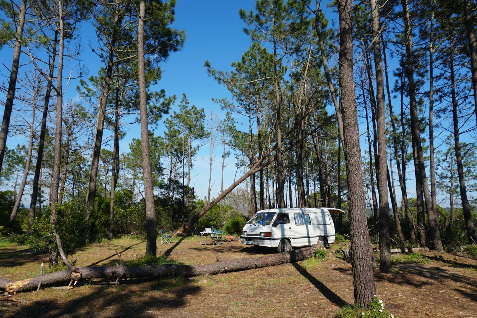 camping secret arrifana aljezur portugal