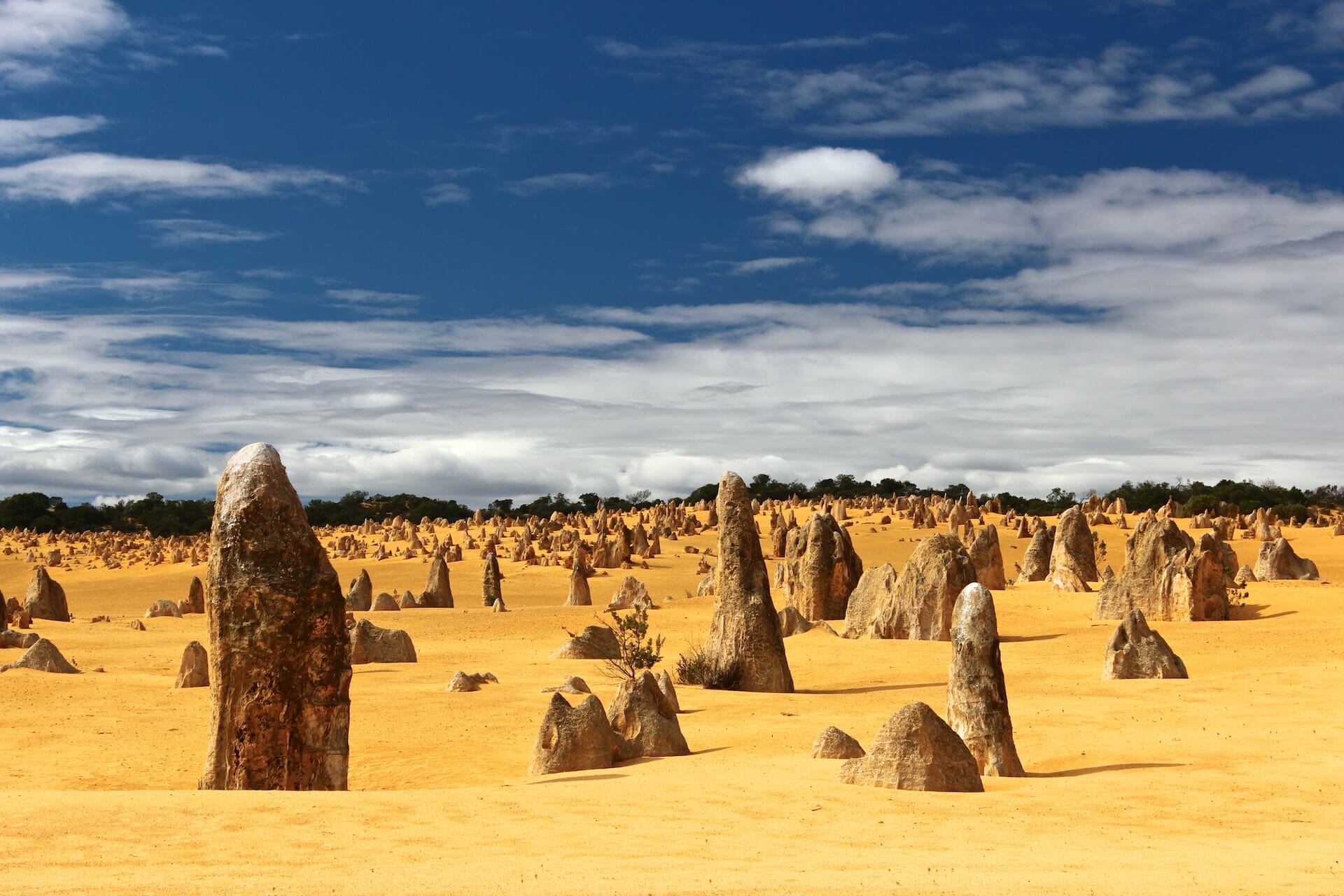 pinnacles road trip cote ouest australie