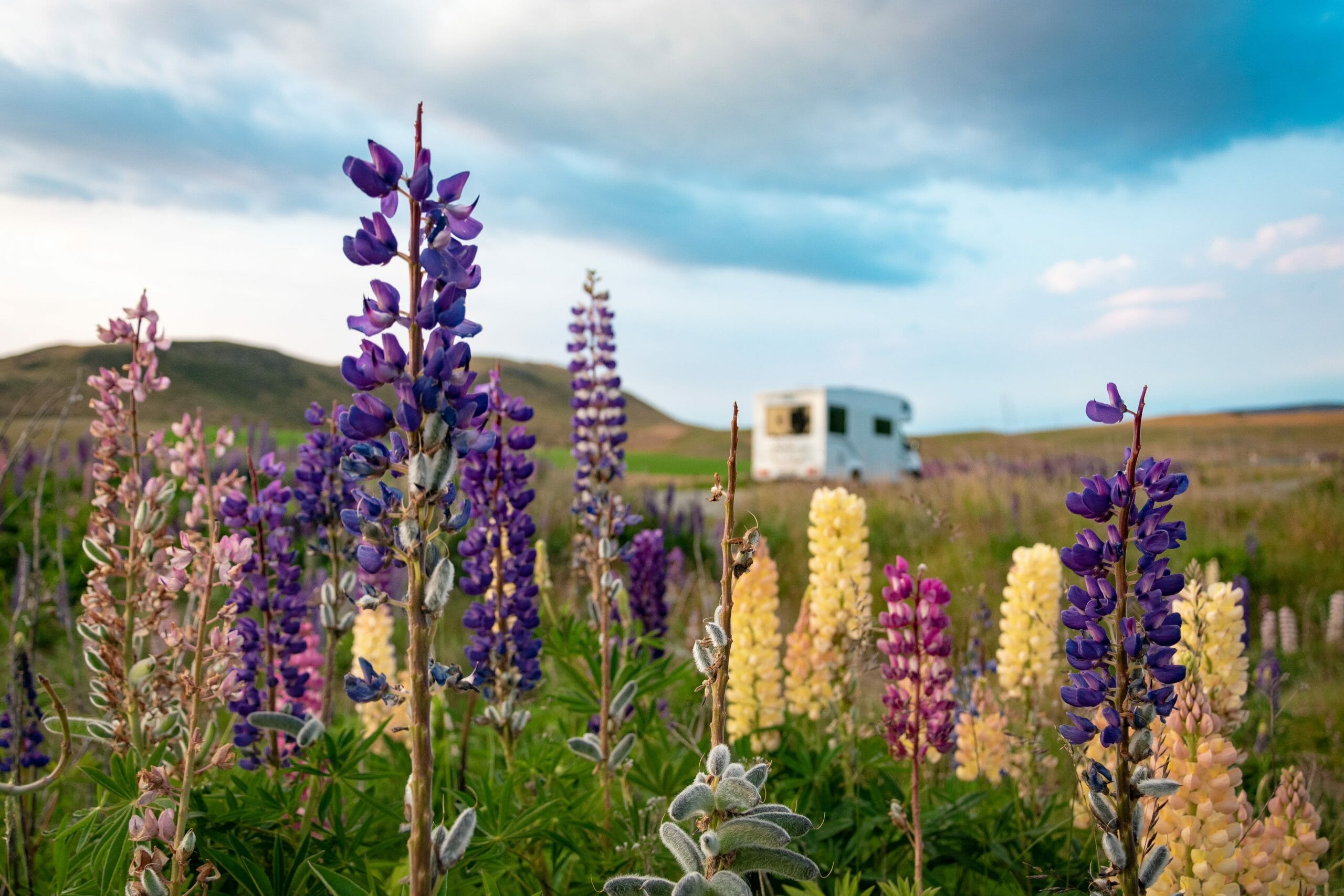 roadtrip nouvelle zelande camping car location