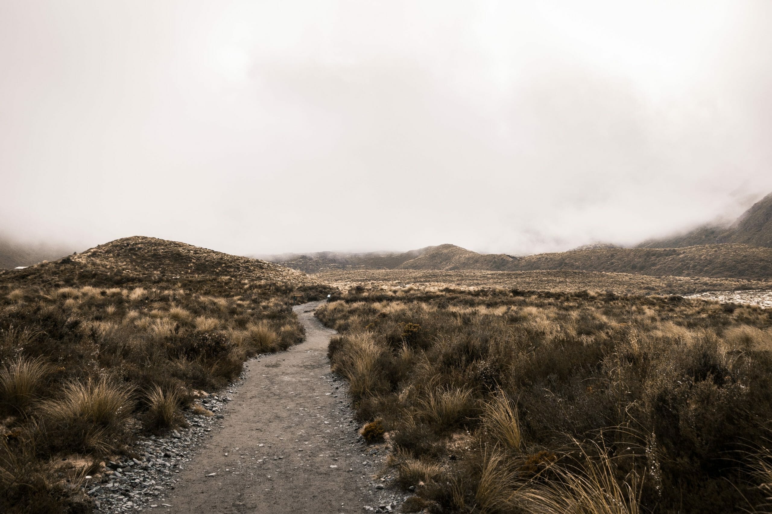 Départ randonnée tongariro alpine crossing