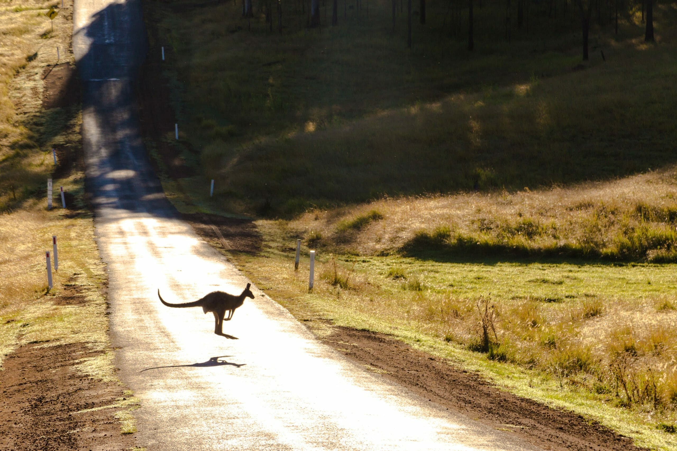 assurance location voiture australie