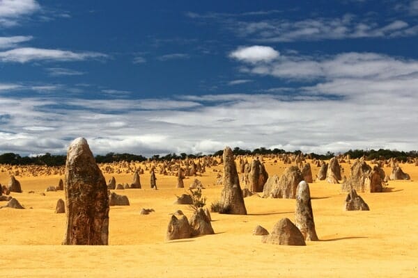 desert pinnacles australie voyage