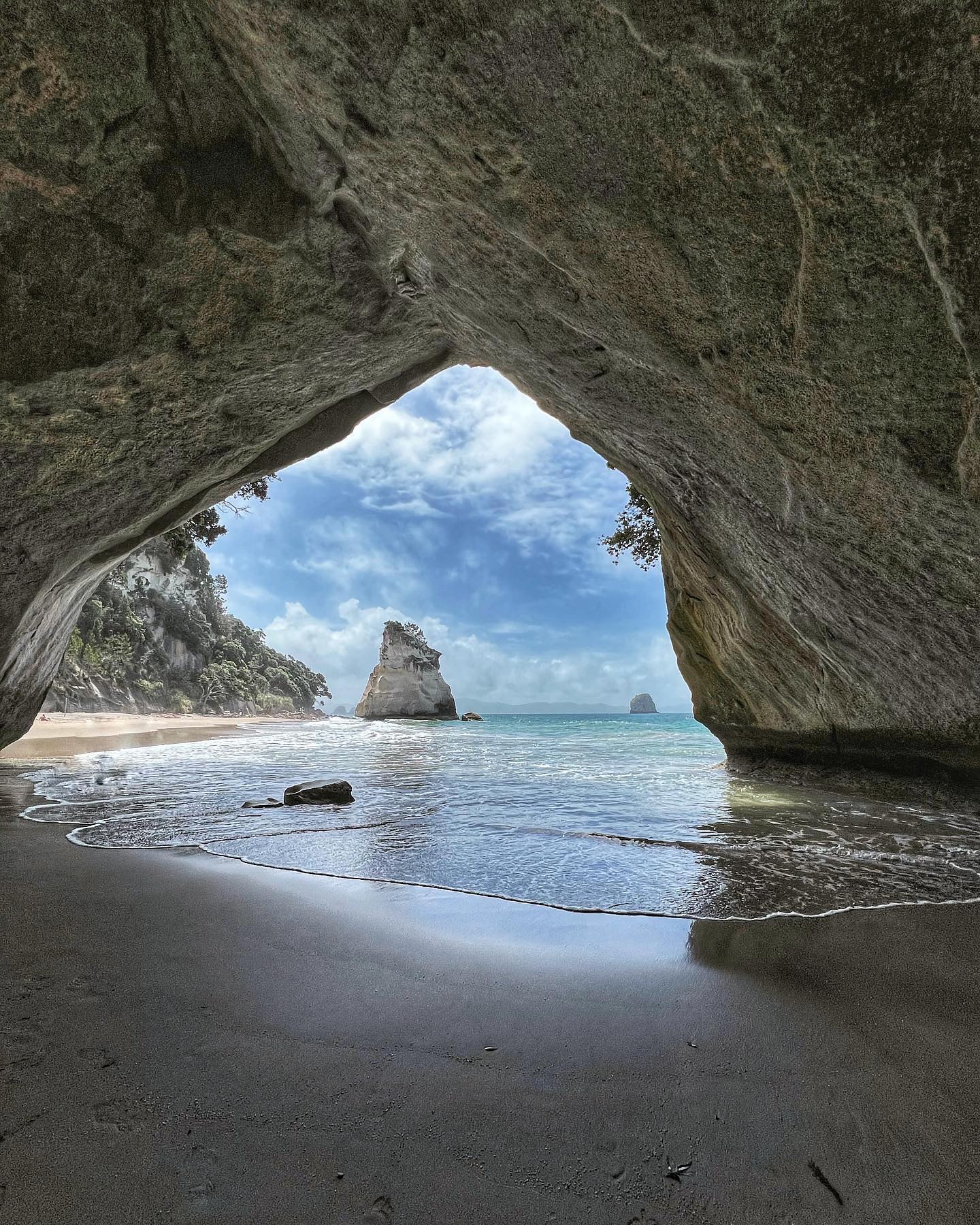 Cathedrale cove - 3 semaines Nouvelle Zelande