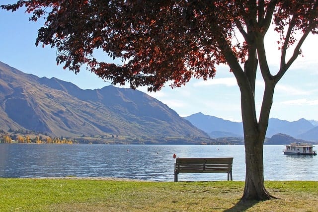 Bord du lac Wanaka