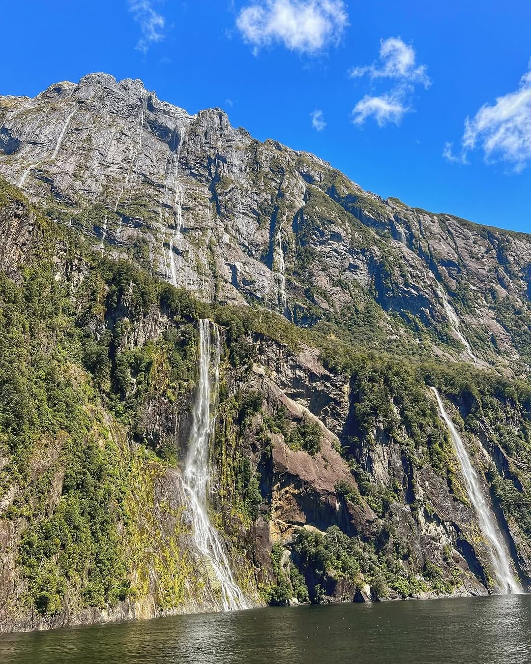 Croisière milford sound nouvelle-zélande