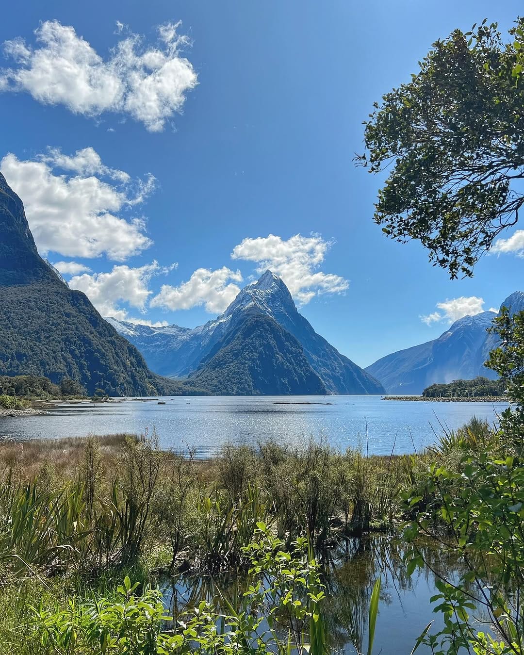 Vue depuis Milford sound track